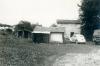Tombolo, settembre 1963 Tombolo, settembre 1963