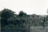 Tombolo, settembre 1963 Tombolo, settembre 1963