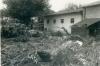 Tombolo, settembre 1963 Tombolo, settembre 1963
