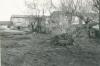 Tombolo, settembre 1963 Tombolo, settembre 1963