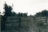 Tombolo, settembre 1963 Tombolo, settembre 1963