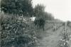 Tombolo, settembre 1963 Tombolo, settembre 1963