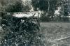 Tombolo, settembre 1963 Tombolo, settembre 1963
