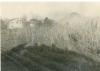 1963.11.21 - Sopralluogo del Comitato di gestione della Tenuta di Tombolo - Zona da sistemare presso la casa colonica concessa al Podere Tini in Arnino 1963.11.21 - Sopralluogo del Comitato di gestione della Tenuta di Tombolo - Zona da sistemare presso la casa colonica concessa al Podere Tini in Arnino