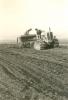 1963.11.21 - Sopralluogo del Comitato di gestione della Tenuta di Tombolo - Semina grano con Fiat 411C e seminatrice Callagham da mt 2,50 nella zona Arnino a C/D 1963.11.21 - Sopralluogo del Comitato di gestione della Tenuta di Tombolo - Semina grano con Fiat 411C e seminatrice Callagham da mt 2,50 nella zona Arnino a C/D