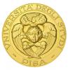 Cherubino dell'Università di Pisa 1972, dritto Cherubino dell'Università di Pisa 1972, dritto