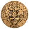 Cherubino dell'Università di Pisa, dritto Cherubino dell'Università di Pisa, dritto