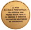 Cherubino dell'Università di Pisa, rovescio Cherubino dell'Università di Pisa, rovescio