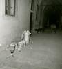 Occupazione della Sapienza (20)