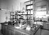 Facolta di farmacia - farm_17