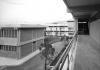 Facolta di medicina veterinaria - med_vet_05