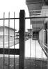 Facolta di medicina veterinaria - med_vet_15