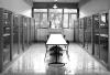 Facolta di medicina veterinaria - med_vet_21
